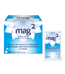 MAG-2 40 Bust.2,25g