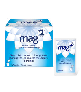 MAG-2 40 Bust.2,25g