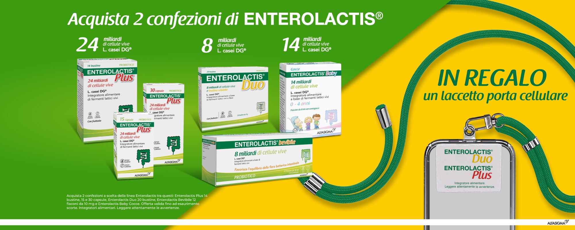 enterolactis