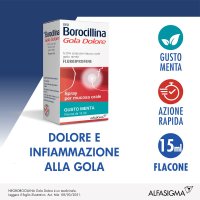 NeoBorocillina Gola Dolore Spray gusto Menta 15ml NeoBorocillina Gola Dolore Spray gusto Menta 15ml