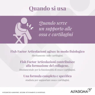 Fish Factor Articolazioni 60 perle