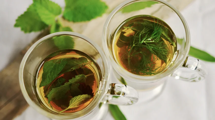 Estratti naturali ad azione drenante: scopri i più efficaci