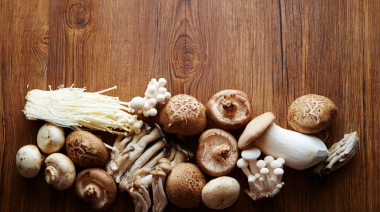Funghi funzionali: cos'è la micoterapia e quali sono i benefici