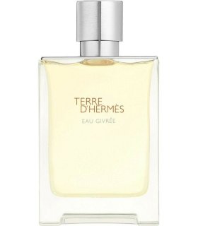 HERMES TERRE EAU GIVREE EDP 100 CO