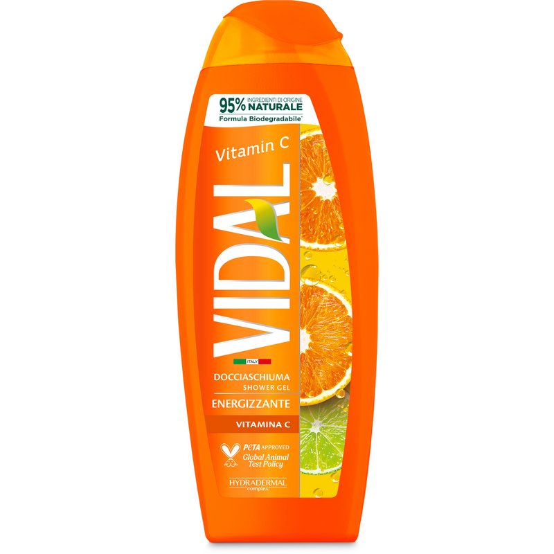VIDAL NEW D/S VITAMINA C 250 ML VIDAL NEW D/S VITAMINA C 250 ML