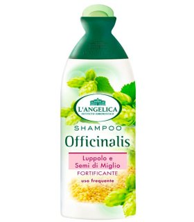 L ANGELICA SH USO FREQUENTE 250 ML