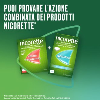 NICORETTE Gomme Menta 2mg105pz