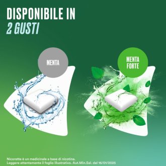 NICORETTE Gomme Menta 2mg105pz