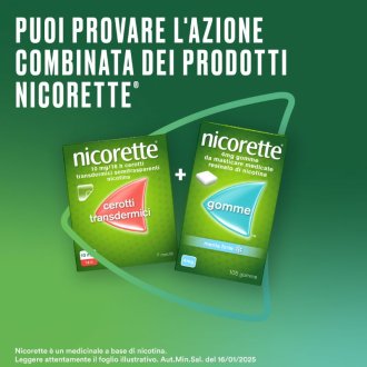 NICORETTE Gomme Menta 4mg105pz