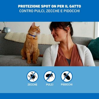 Frontline Spot On Gatti x3 Pipette, Antiparassitario per Gatti, Contro Zecche, Pulci e Pidocchi Frontline Spot On Gatti x3 Pipette, Antiparassitario per Gatti, Contro Zecche, Pulci e Pidocchi