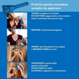 Frontline Spot On Gatti x3 Pipette, Antiparassitario per Gatti, Contro Zecche, Pulci e Pidocchi Frontline Spot On Gatti x3 Pipette, Antiparassitario per Gatti, Contro Zecche, Pulci e Pidocchi