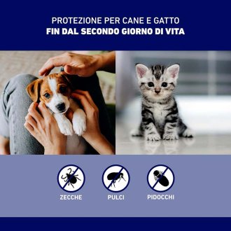 Frontline Spray Cani e Gatti - Spray antiparassitario - 250 ml