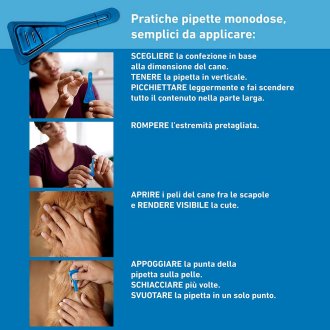 Frontline Spot On Cani  x3 Antiparassitario Contro Pulci, Zecche E Pidocchi (20-40Kg)