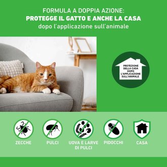 Frontline Combo Gatti x3 Pipette, Antiparassitario Contro Pulci, Zecche, Uova, Larve E Pidocchi 