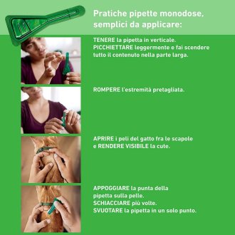 Frontline Combo Gatti x3 Pipette, Antiparassitario Contro Pulci, Zecche, Uova, Larve E Pidocchi 
