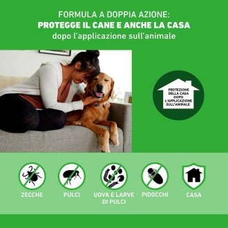 Frontline Combo Cani  x1 Pipetta, Antiparassitario Per Cani (2-10Kg) Contro Pulci, Zecche E Pidocchi