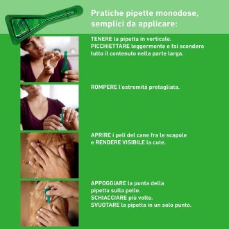 Frontline Combo Cani x3 Pipette, Antiparassitario per Cani (2-10Kg) Contro Pulci, Zecche E Pidocchi Frontline Combo Cani x3 Pipette, Antiparassitario per Cani (2-10Kg) Contro Pulci, Zecche E Pidocchi