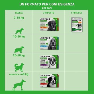 Frontline Combo Cani x3 Pipette, Antiparassitario per Cani (2-10Kg) Contro Pulci, Zecche E Pidocchi Frontline Combo Cani x3 Pipette, Antiparassitario per Cani (2-10Kg) Contro Pulci, Zecche E Pidocchi