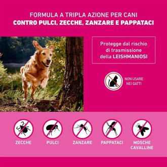 Frontline Tri-Act x1 Pipetta, Antiparassitario Per Cani (5-10Kg) Contro Parassiti Esterni E Insetti Volanti