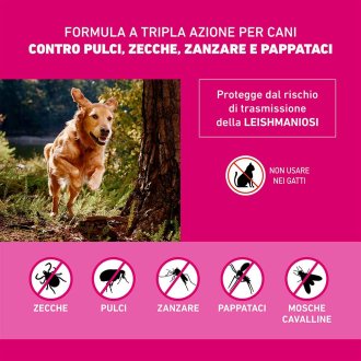 Frontline Tri-Act x3 Pipette, Antiparassitario Per Cani (40-60Kg) Contro Parassiti Esterni E Insetti Volanti