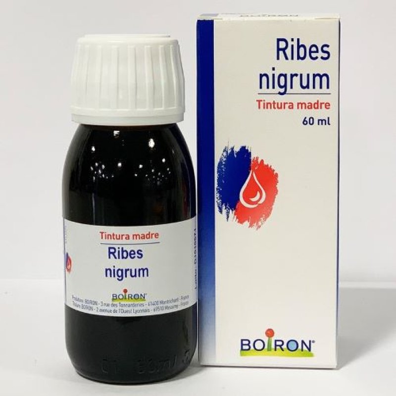 BO.RIBES NIGRUM TM 60ml BO.RIBES NIGRUM TM 60ml