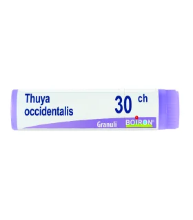 BO.THUYA OCC.Dose   30CH
