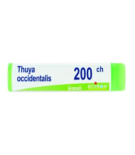 BO.THUYA OCC.Dose  200CH