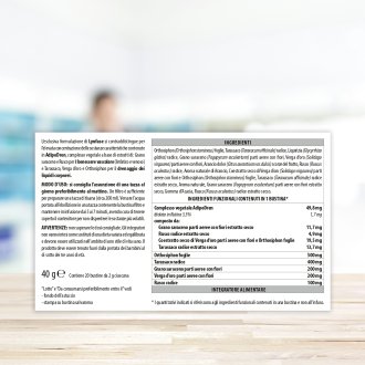 Lynfase Fitomagra - Tisana drenante - 20 filtri Lynfase Fitomagra - Tisana drenante - 20 filtri