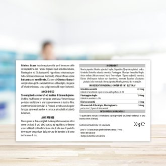 Grintuss Tisana 20 Bustine