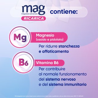 Mag Ricarica 24 Ore 24bust Mag Ricarica 24 Ore 24bust