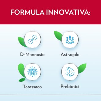 Gyno-CanesCystil Cistipro - Integratore con D Mannosio per il benessere delle vie urinarie - 14 bustine Gyno-CanesCystil Cistipro - Integratore con D Mannosio per il benessere delle vie urinarie - 14 bustine