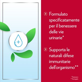 Gyno-CanesCystil Cistipro - Integratore con D Mannosio per il benessere delle vie urinarie - 14 bustine Gyno-CanesCystil Cistipro - Integratore con D Mannosio per il benessere delle vie urinarie - 14 bustine