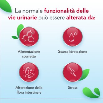 Gyno-CanesCystil Cistipro - Integratore con D Mannosio per il benessere delle vie urinarie - 14 bustine Gyno-CanesCystil Cistipro - Integratore con D Mannosio per il benessere delle vie urinarie - 14 bustine