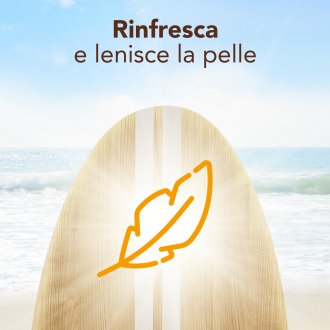 P BUIN D/SOLE SPRAY 200 ML P BUIN D/SOLE SPRAY 200 ML