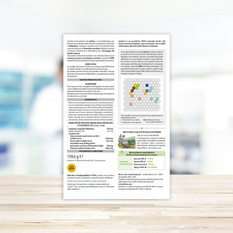 Lynfase Concentrato Fluido12fl