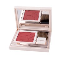 Bionike Defence Color Pretty Touch Fard 310 - Fard compatto a lunga tenuta - Colore rouge framboise - Trousse da 5 g Bionike Defence Color Pretty Touch Fard 310 - Fard compatto a lunga tenuta - Colore rouge framboise - Trousse da 5 g