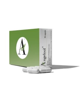 ANGELCOL 36 Capsule
