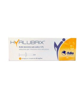 Hyalubrix 30 Soluzione per Iniezione Intrarticolare 1 Siringa pre-riempita 30mg/2ml