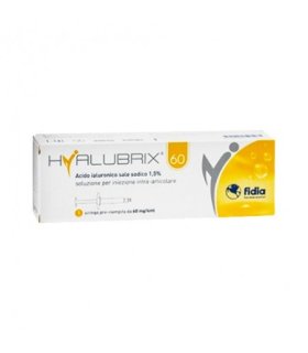 Hyalubrix 60 Soluzione per Iniezione Intrarticolare 1 Siringa pre-riempita 60/4ml