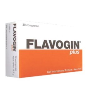 FLAVOGIN Plus 30 Conf.