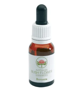 BORONIA AUSTRALIAN Gocce 15ml