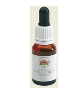 DOG ROSE W-F AUSTRAL.Gtt 15ml