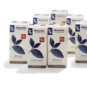EQUISETO TM 100ML FTM