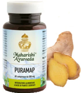 PURAMAP 60 Capsule 0,5g