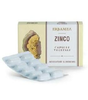 ZINCO 24 Capsule Veg.EBM