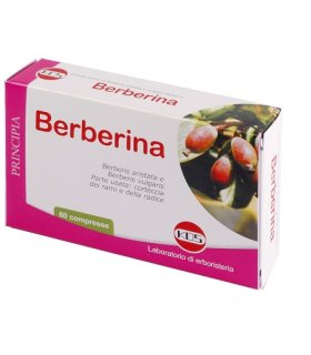 BERBERINA 60 Compresse 27 g