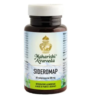 SIDEROMAP (MA 321) 60 Tav.30g