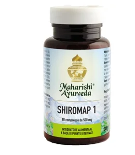 SHIROMAP 1(MA 104) 60 Tav.30g