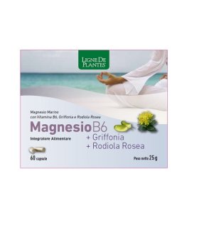 MAGN.B6 Griff.Rodiola 60 Capsule