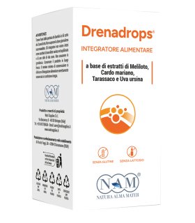 DRENADROPS Sol.Ial.100ml